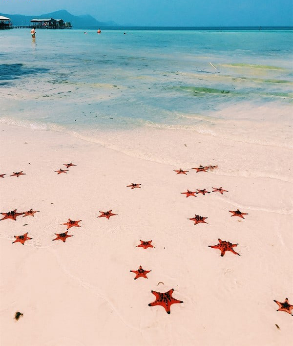 Vẻ đẹp nguyên sơ của Bai Sao